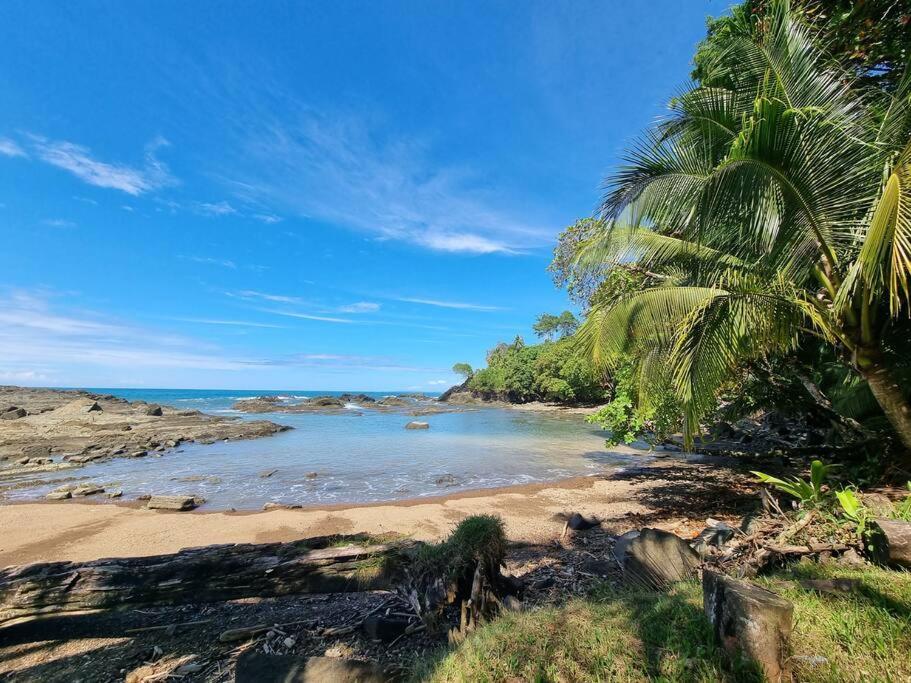 Villa Amor Del Mar With Breathtaking View Of Ocean & Jungle Dominical Exterior photo